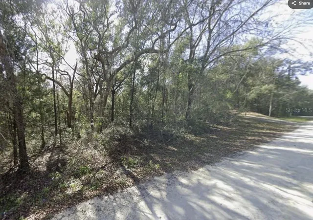 Photo 3 of Land for sale at 34086 Arrowrock St, Webster, FL 33597 | MLS# TB8553614 | Listing updated on 2026-10-01