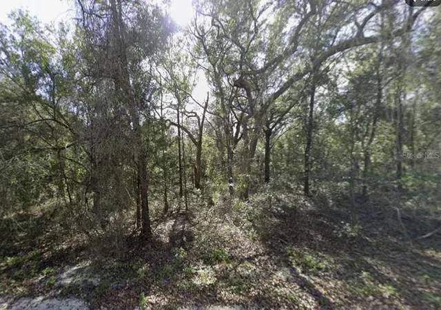 Photo 4 of Land for sale at 34086 Arrowrock St, Webster, FL 33597 | MLS# TB8553614 | Listing updated on 2026-10-01