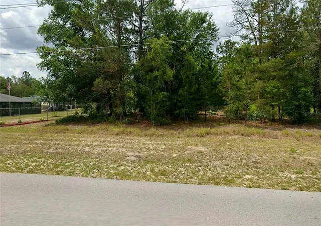 Photo 3 of Land for sale at Sw Rainbow Lakes Blvd Fl, Dunnellon, FL 34431 | MLS# O6446201 | Listing updated on 2026-10-06