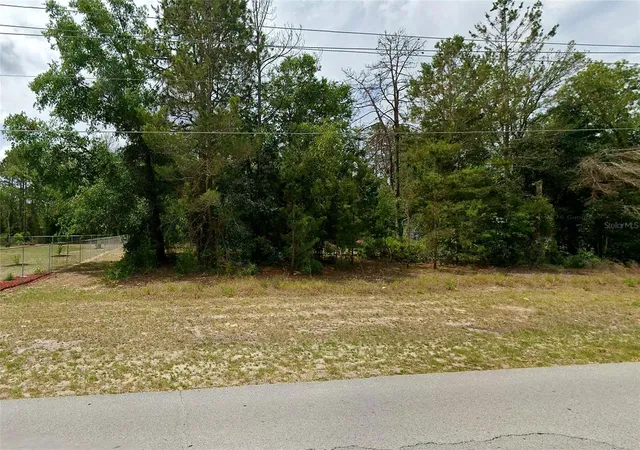 Photo 3 of Land for sale at SW Rainbow Lakes Blvd Fl, Dunnellon, FL 34431 | MLS# O6446201 | Listing updated on 2026-10-06