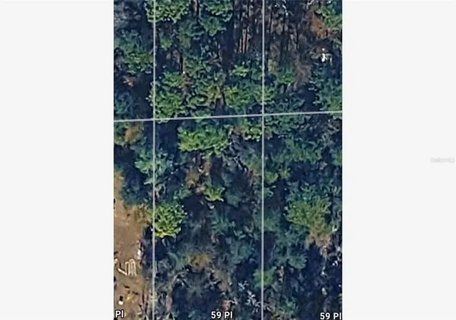 Photo 3 of Land for sale at Northeast 59th Pl, Bronson, FL 32621 | MLS# O6446213 | Listing updated on 2026-10-05