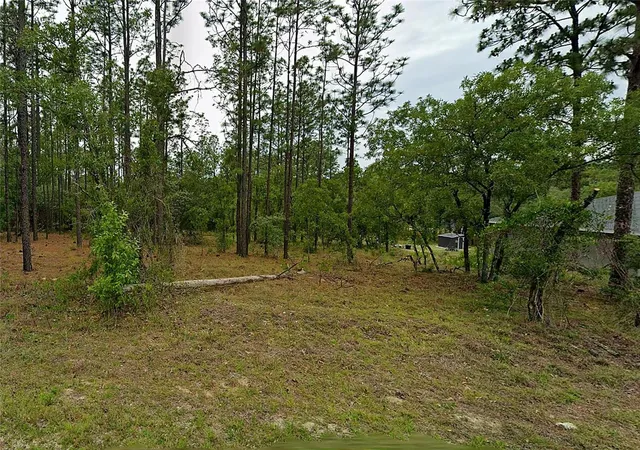 Photo 1 of Land for sale at Nw Redwood Dr, Dunnellon, FL 34431 | MLS# O6446219 | Listing updated on 2026-10-03