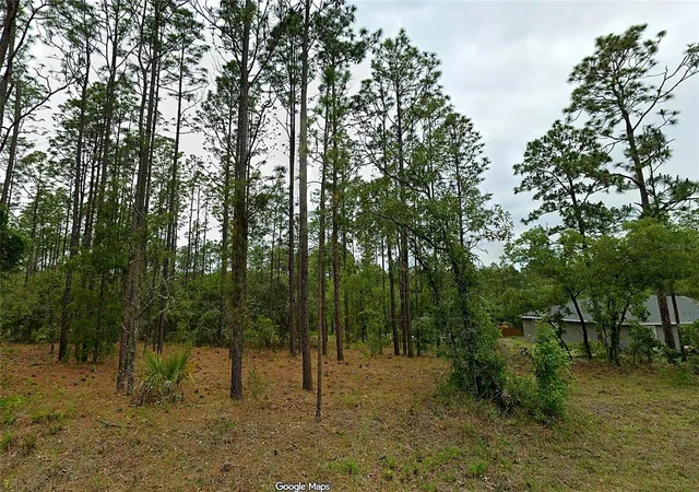 Photo 2 of Land for sale at Nw Redwood Dr, Dunnellon, FL 34431 | MLS# O6446219 | Listing updated on 2026-10-03