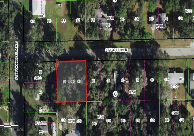 Photo 2 of Land for sale at 7960 E Peacock Ln, Floral City, FL 34436 | MLS# OM733183 | Listing updated on 2026-10-01