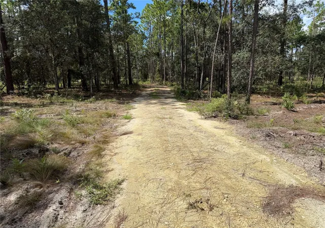 Photo 2 of Land for sale at 164 Melrose Landing Blvd, Hawthorne, FL 32640 | MLS# GC543892 | Listing updated on 2026-10-01