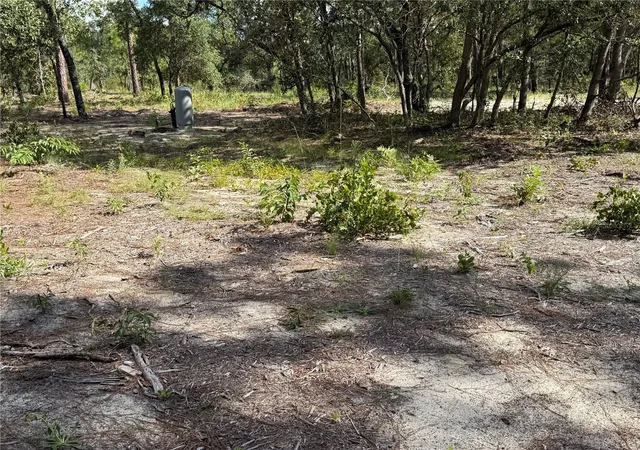Photo 3 of Land for sale at 164 Melrose Landing Blvd, Hawthorne, FL 32640 | MLS# GC543892 | Listing updated on 2026-10-01