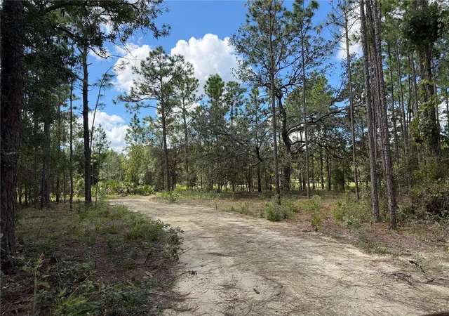 Photo 3 of Land for sale at 164 Melrose Landing Blvd, Hawthorne, FL 32640 | MLS# GC543892 | Listing updated on 2026-10-01