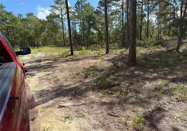 Photo 4 of Land for sale at 164 Melrose Landing Blvd, Hawthorne, FL 32640 | MLS# GC543892 | Listing updated on 2026-10-01
