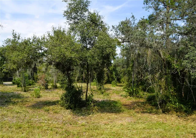 Photo 1 of Land for sale at 625 Lake Butler Ave, Osteen, FL 32764 | MLS# V4951600 | Listing updated on 2026-10-09