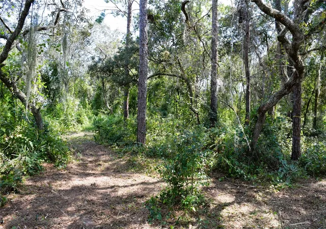 Photo 2 of Land for sale at 625 Lake Butler Ave, Osteen, FL 32764 | MLS# V4951600 | Listing updated on 2026-10-09