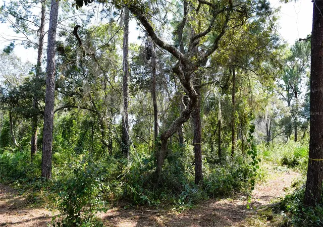 Photo 3 of Land for sale at 625 Lake Butler Ave, Osteen, FL 32764 | MLS# V4951600 | Listing updated on 2026-10-09