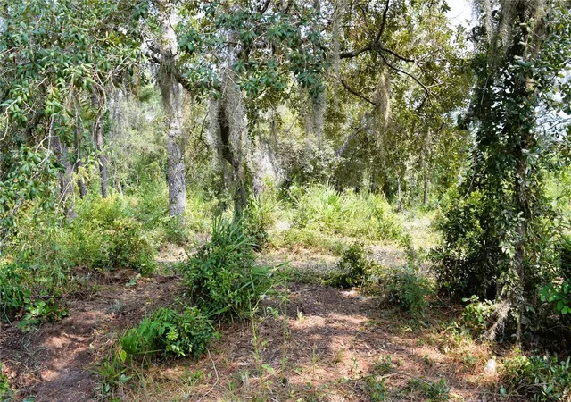 Photo 3 of Land for sale at 625 Lake Butler Ave, Osteen, FL 32764 | MLS# V4951600 | Listing updated on 2026-10-09