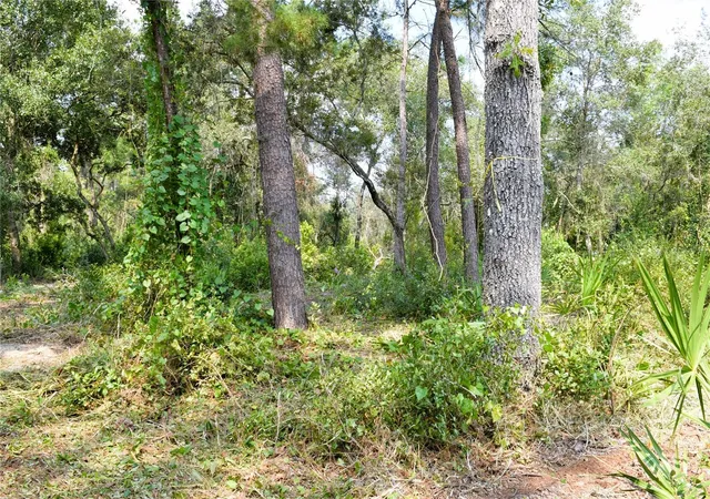 Photo 4 of Land for sale at 625 Lake Butler Ave, Osteen, FL 32764 | MLS# V4951600 | Listing updated on 2026-10-09