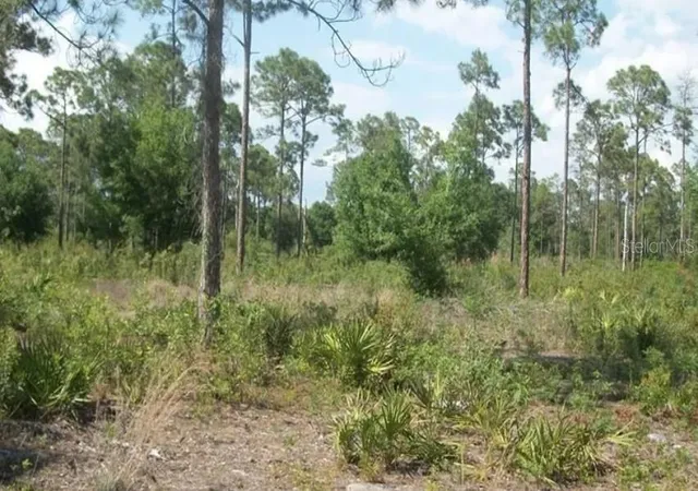 Photo 1 of Land for sale at 1055 Union Ave, Clewiston, FL 33440 | MLS# G5118480 | Listing updated on 2026-10-01