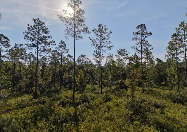 Land for sale at Off NE 212th St, FORT MC COY, FL 32134 | MLS# OM733212