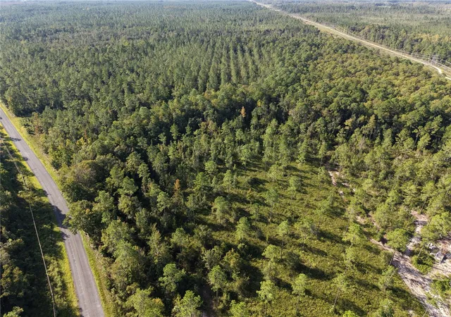 Photo 1 of Land for sale at Off NE 212th St, Fort Mc Coy, FL 32134 | MLS# OM733212 | Listing updated on 2026-10-01