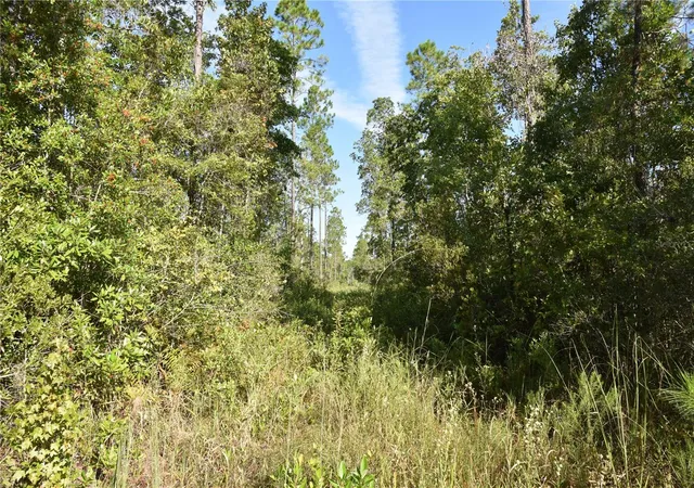 Photo 2 of Land for sale at Off NE 212th St, Fort Mc Coy, FL 32134 | MLS# OM733212 | Listing updated on 2026-10-01
