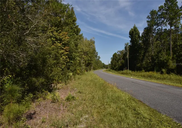 Photo 4 of Land for sale at Off NE 212th St, Fort Mc Coy, FL 32134 | MLS# OM733212 | Listing updated on 2026-10-01