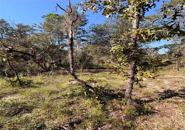 Photo 2 of Land for sale at 0 Cypress St, Interlachen, FL 32148 | MLS# TB8553850 | Listing updated on 2026-10-03
