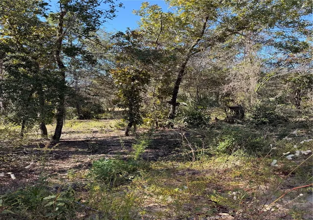Photo 3 of Land for sale at 0 Cypress St, Interlachen, FL 32148 | MLS# TB8553850 | Listing updated on 2026-10-03