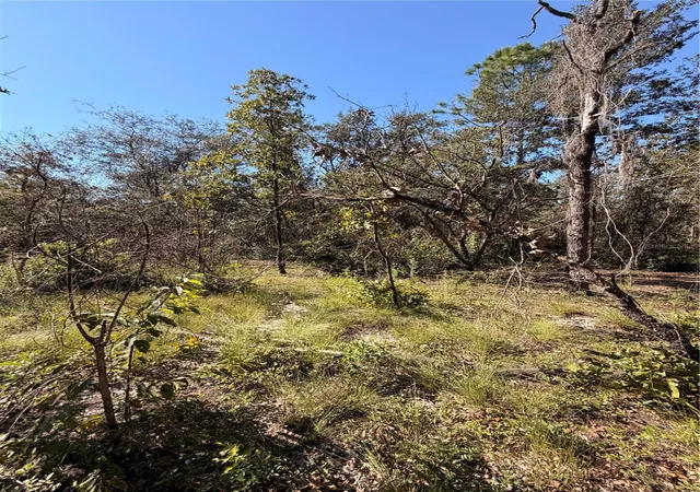 Photo 3 of Land for sale at 0 Cypress St, Interlachen, FL 32148 | MLS# TB8553850 | Listing updated on 2026-10-03