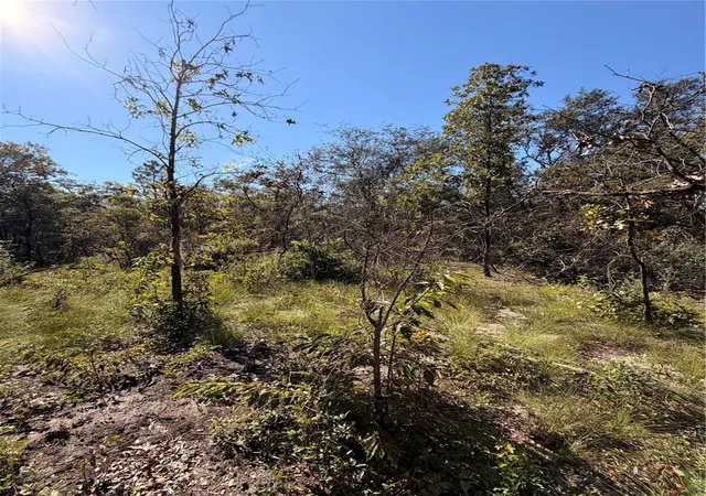 Photo 4 of Land for sale at 0 Cypress St, Interlachen, FL 32148 | MLS# TB8553850 | Listing updated on 2026-10-03