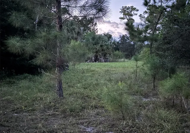 Land for sale at 30735-30745 Devon Ct, EUSTIS, FL 32736 | MLS# O6446379