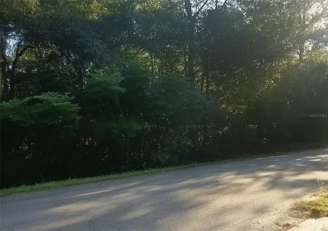 Photo 3 of Land for sale at 2728 E Center St, Inverness, FL 34453 | MLS# O6446381 | Listing updated on 2026-10-02