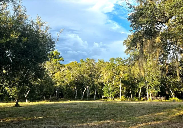 Land for sale at Canal St, FANNING SPRINGS, FL 32693 | MLS# GC543907