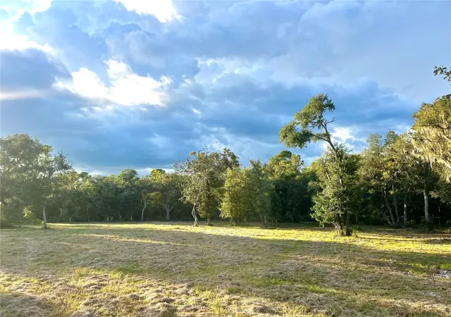 Photo 3 of Land for sale at Canal St, Fanning Springs, FL 32693 | MLS# GC543907 | Listing updated on 2026-10-07
