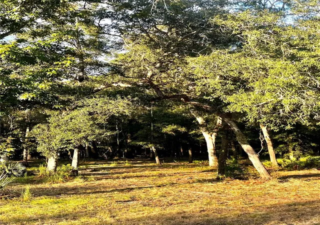 Photo 3 of Land for sale at Canal St, Fanning Springs, FL 32693 | MLS# GC543907 | Listing updated on 2026-10-07