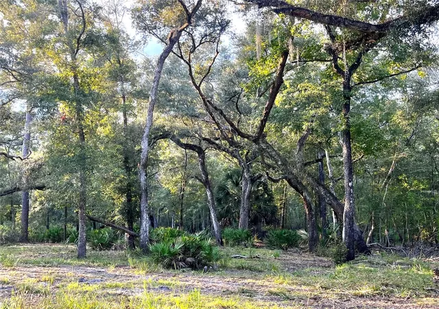 Photo 4 of Land for sale at Canal St, Fanning Springs, FL 32693 | MLS# GC543907 | Listing updated on 2026-10-07