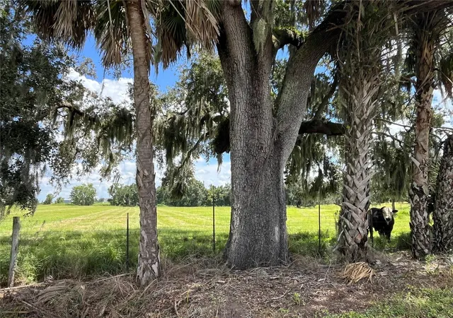 Photo 1 of Land for sale at Johns Rd, Wauchula, FL 33873 | MLS# C7531429 | Listing updated on 2026-10-02