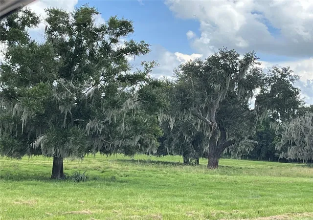 Photo 3 of Land for sale at Johns Rd, Wauchula, FL 33873 | MLS# C7531429 | Listing updated on 2026-10-02