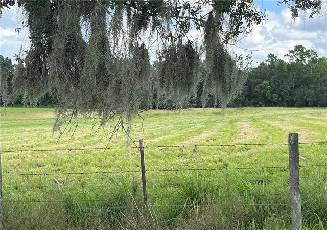 Photo 3 of Land for sale at Johns Rd, Wauchula, FL 33873 | MLS# C7531429 | Listing updated on 2026-10-02