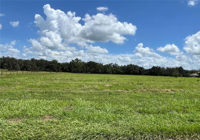Photo 4 of Land for sale at Johns Rd, Wauchula, FL 33873 | MLS# C7531429 | Listing updated on 2026-10-02