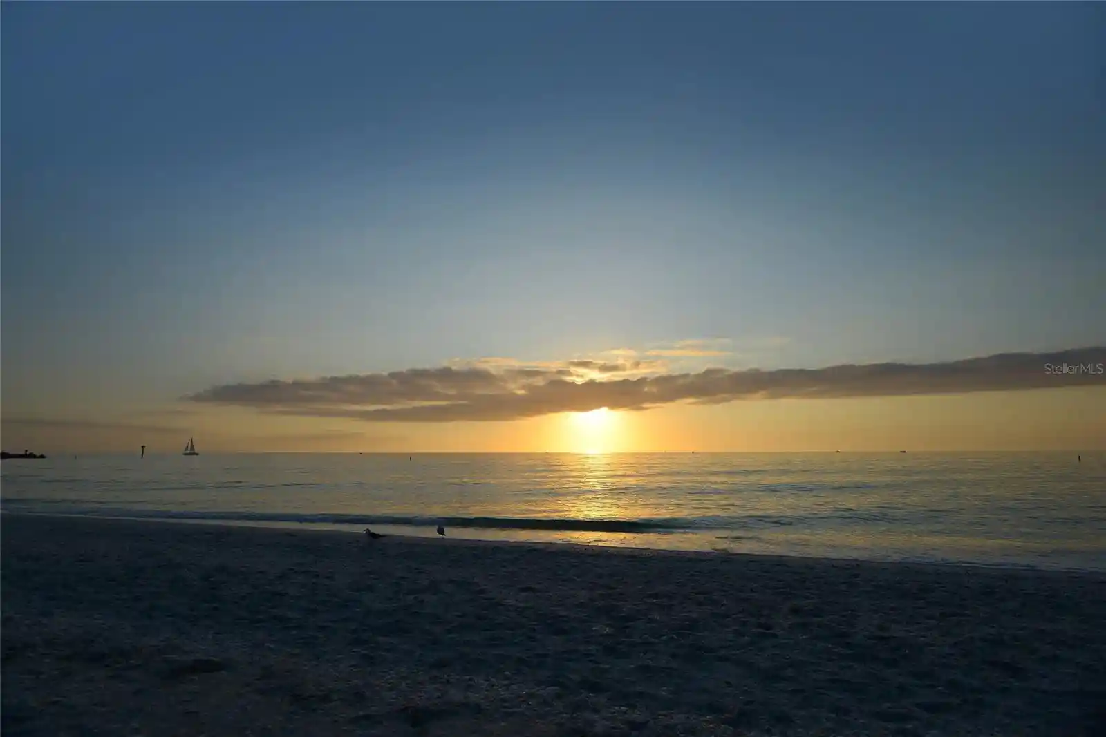 Listing Photo 59 - Condo for sale in 995 Laguna Dr located at 995 Laguna Dr, Venice, FL 34285 - Unit #305