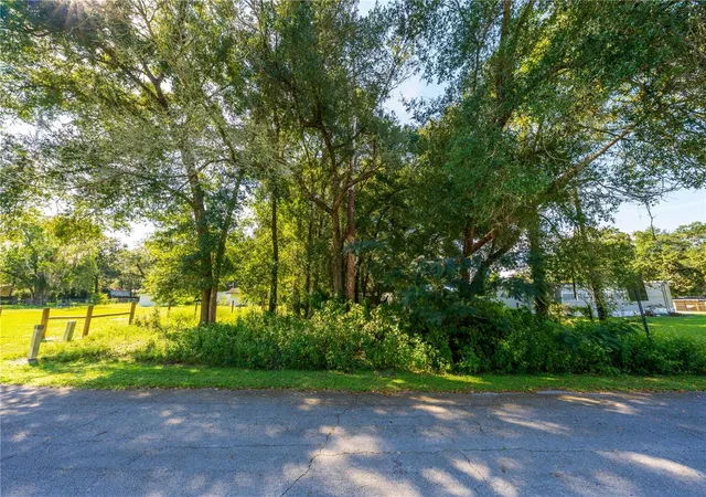 Photo 4 of Land for sale at Magnolia Rd, Altoona, FL 32702 | MLS# O6446422 | Listing updated on 2026-10-02