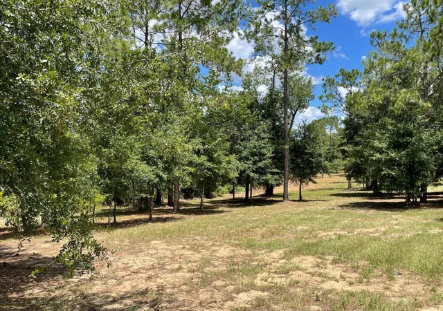 Photo 1 of Land for sale at Calhoun Rd, Eustis, FL 32736 | MLS# O6446438 | Listing updated on 2026-10-04