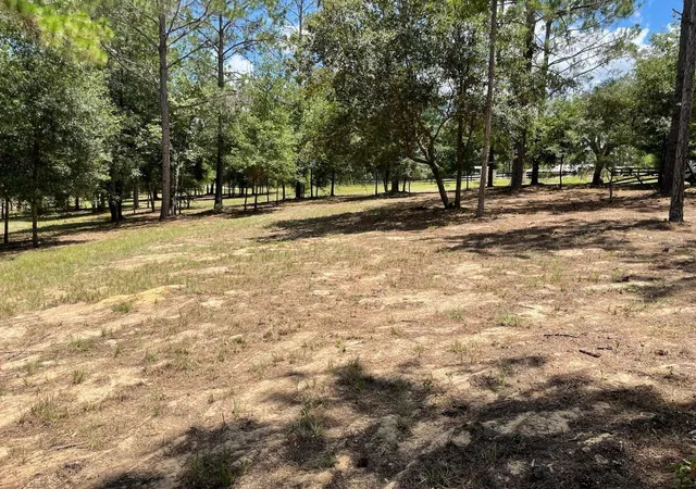 Photo 3 of Land for sale at Calhoun Rd, Eustis, FL 32736 | MLS# O6446438 | Listing updated on 2026-10-04