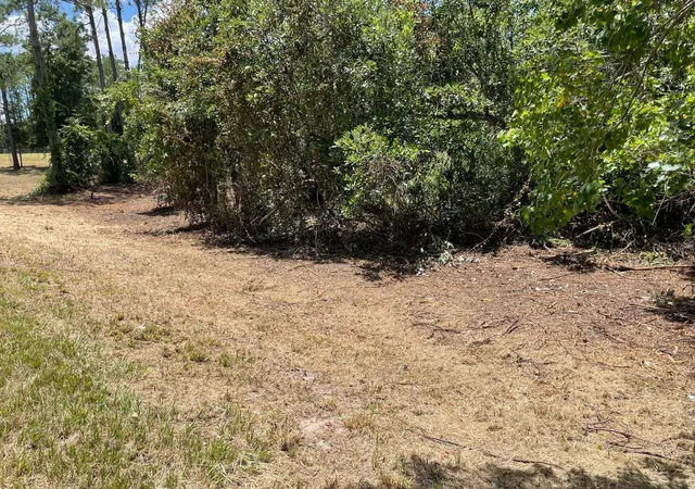 Photo 4 of Land for sale at Calhoun Rd, Eustis, FL 32736 | MLS# O6446438 | Listing updated on 2026-10-04