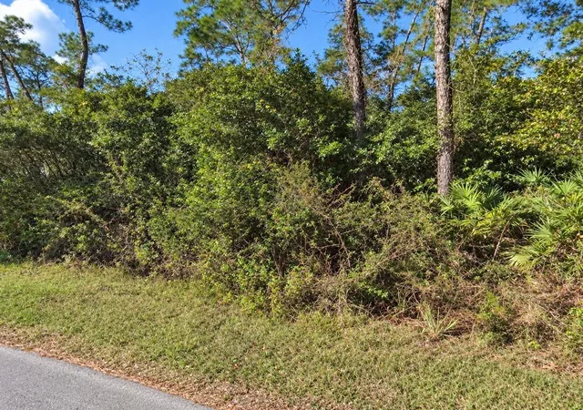 Land for sale at Coon Rd, ASTOR, FL 32102 | MLS# OM733248