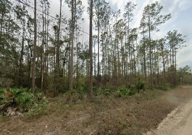 Photo 1 of Land for sale at 0 Glisson St, Interlachen, FL 32148 | MLS# FC321839 | Listing updated on 2026-10-02
