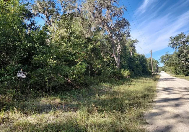 Photo 1 of Land for sale at Butternut Dr, Webster, FL 33597 | MLS# G5118515 | Listing updated on 2026-10-02