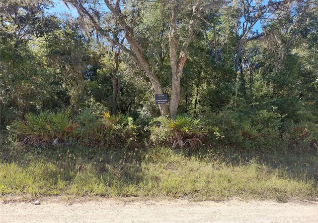 Photo 3 of Land for sale at Butternut Dr, Webster, FL 33597 | MLS# G5118515 | Listing updated on 2026-10-02