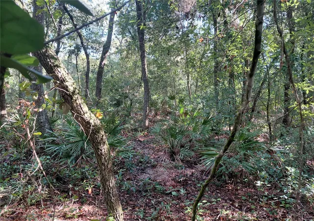 Photo 4 of Land for sale at Butternut Dr, Webster, FL 33597 | MLS# G5118515 | Listing updated on 2026-10-02