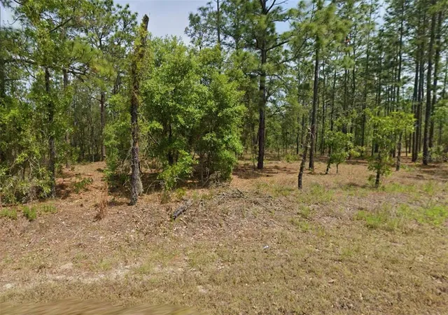 Photo 1 of Land for sale at 00 Nw Columbine Ave, Dunnellon, FL 34431 | MLS# OM733271 | Listing updated on 2026-10-02