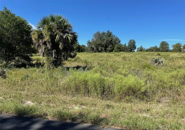 Photo 4 of Sale Pending at Lot SW 14 Wisteria Ct, Dunnellon, FL 34431 | MLS# OM733275 | Listing updated on 2026-10-05