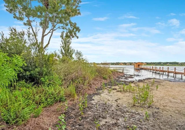 Photo 4 of Land for sale at 1221 Oakdale St, Windermere, FL 34786 | MLS# O6446547 | Listing updated on 2026-10-05