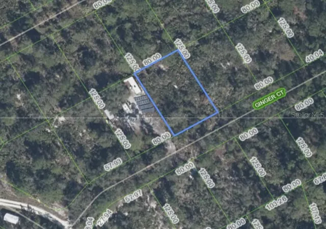 Land for sale at 2840 Ginger Ct, SEBRING, FL 33875 | MLS# O6446548